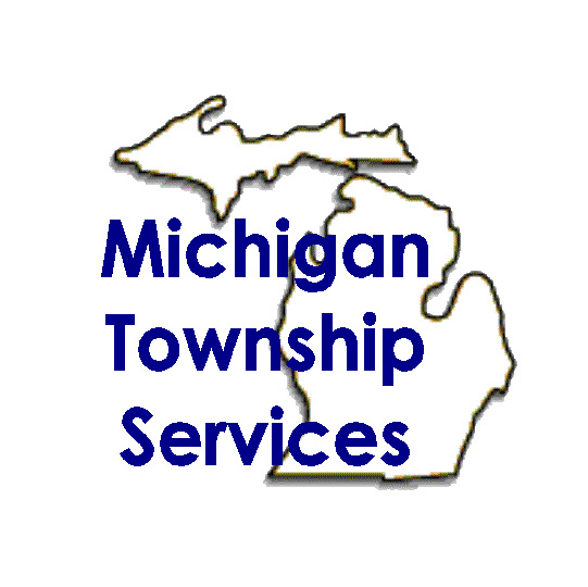 michigan township services logo